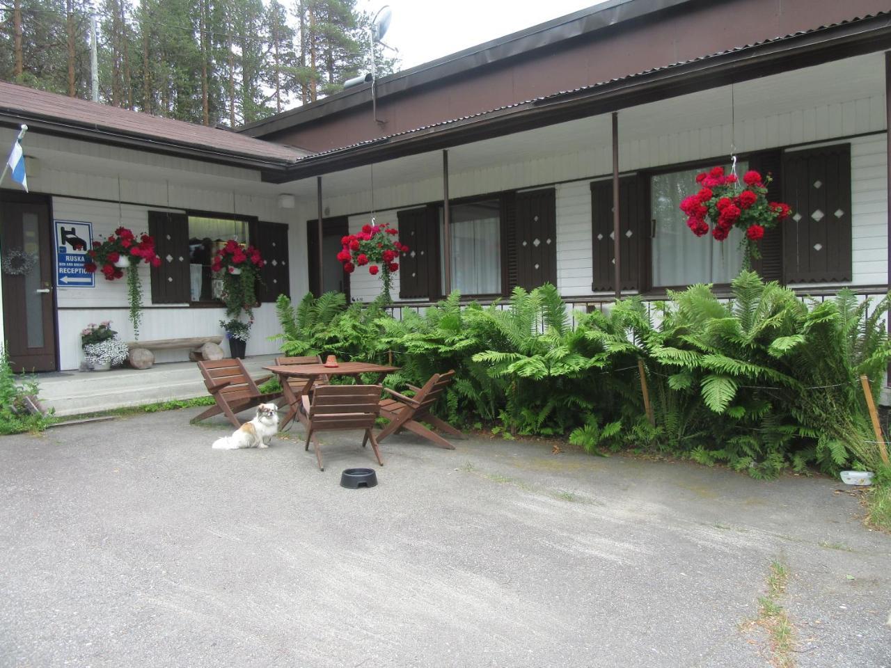 Ruska Bed & Breakfast Taivalkoski Eksteriør billede